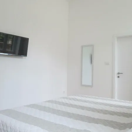 En-suite Rose On Rokova Street - 5 Min Walk To The Old Town Of Penzion